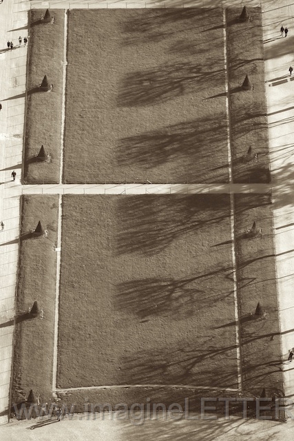 Wall_Art_Alphabet_Photography_Art_ 787.jpg